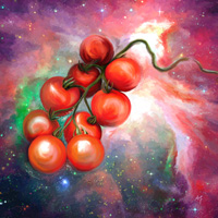 Kunstdruck - Poster - space tomatoes